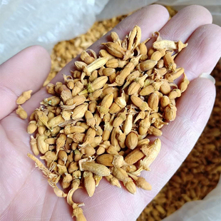 正宗金华佛手花自产自销日晒佛手干花佛手花茶新货无硫中药材养生