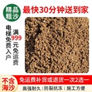 黄沙建筑用沙黄砂粗沙水泥沙子中砂细砂袋装 上海同城厂家直销供应