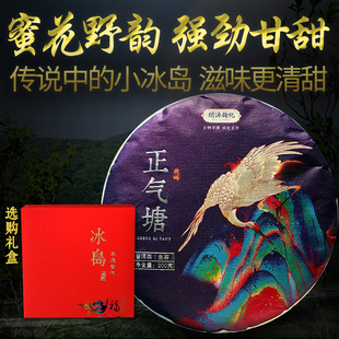 正气塘头春茶生普洱茶古树茶高端生茶问源号纪冰岛茶区饼茶200g