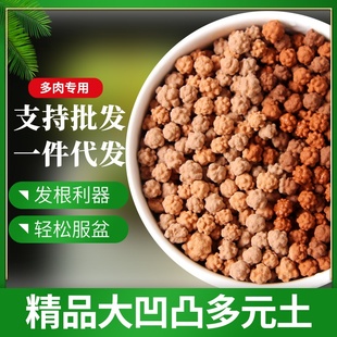 厂家批发代发多元土多肉拌土种植铺面专用凹凸活力土透气生根精品