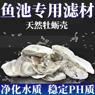 天然蚝壳牡蛎壳锦鲤鱼池鱼缸专用滤材过滤材料稳定PH值增加钙水质