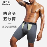 Хлопковое спортивное нижнее белье, штаны, длинное длинноствольное ружье, для бега