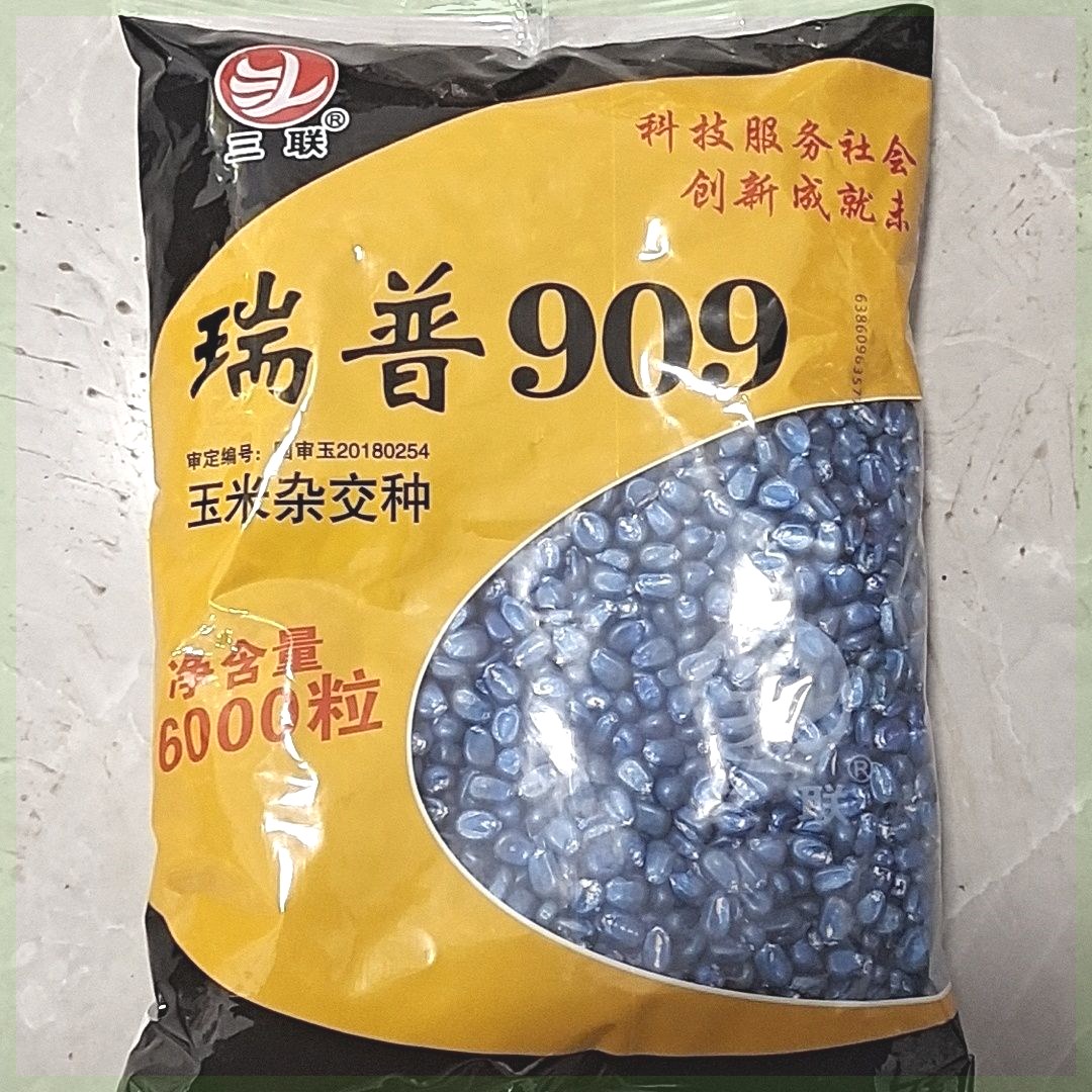 正品山西三联瑞普909玉米种子抗旱抗倒伏矮杆大棒6000粒紫杆原装