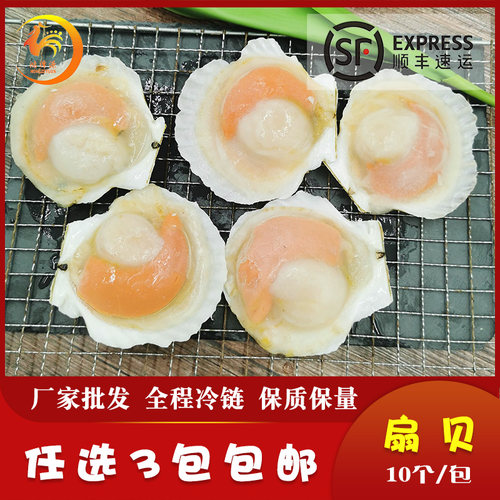 新鲜冷冻半壳扇贝烧烤专用食材