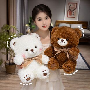 可爱情侣熊公仔毛绒玩具憨憨小熊泰迪熊玩偶儿童娃娃女孩生日礼物