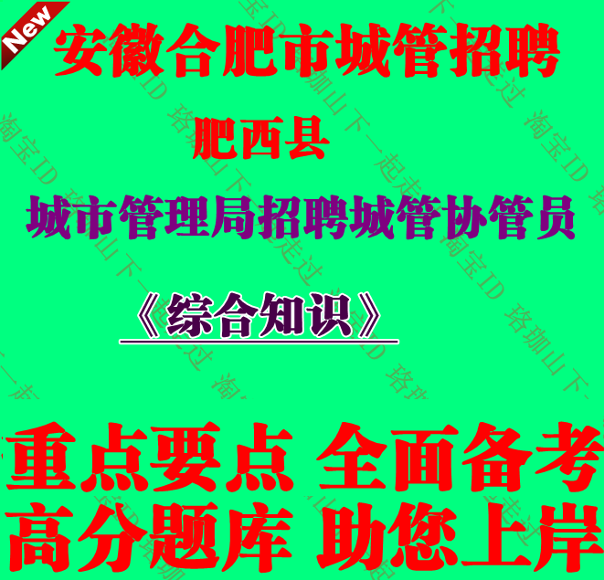 2025新版合肥市肥西县城市管理局招聘城管协管员考试综合知识笔试