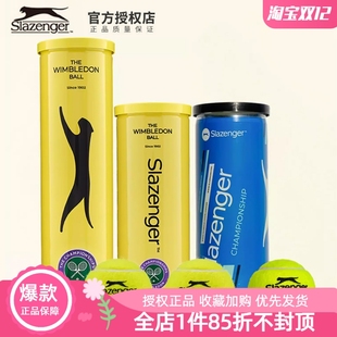 Slazenger史莱辛格网球温网比赛用球耐磨胶罐铁罐袋装 豹子球 散装