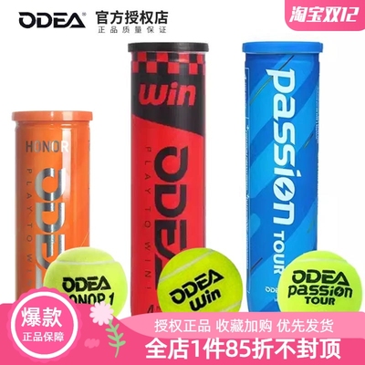 网球有压耐打练习训练网球