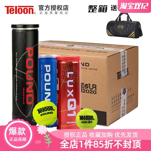 天龙专业比赛网球高弹耐打