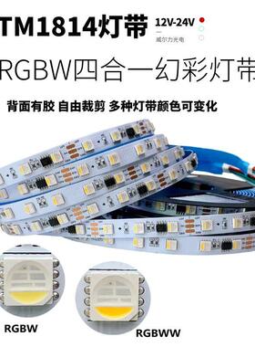 12v24v低压RGBW四合一TM1814白光暖光幻彩跑马TM1834全彩led灯带