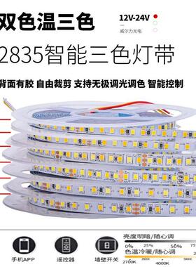 12V24V灯带led灯条2835自粘双色温三色变光CCT智能调光调色线条灯