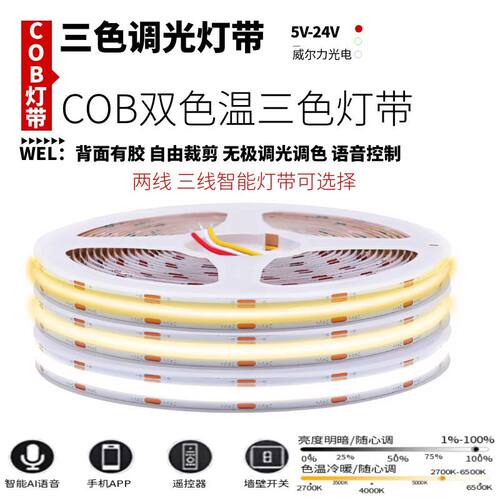 COB智能无极调光调色灯带