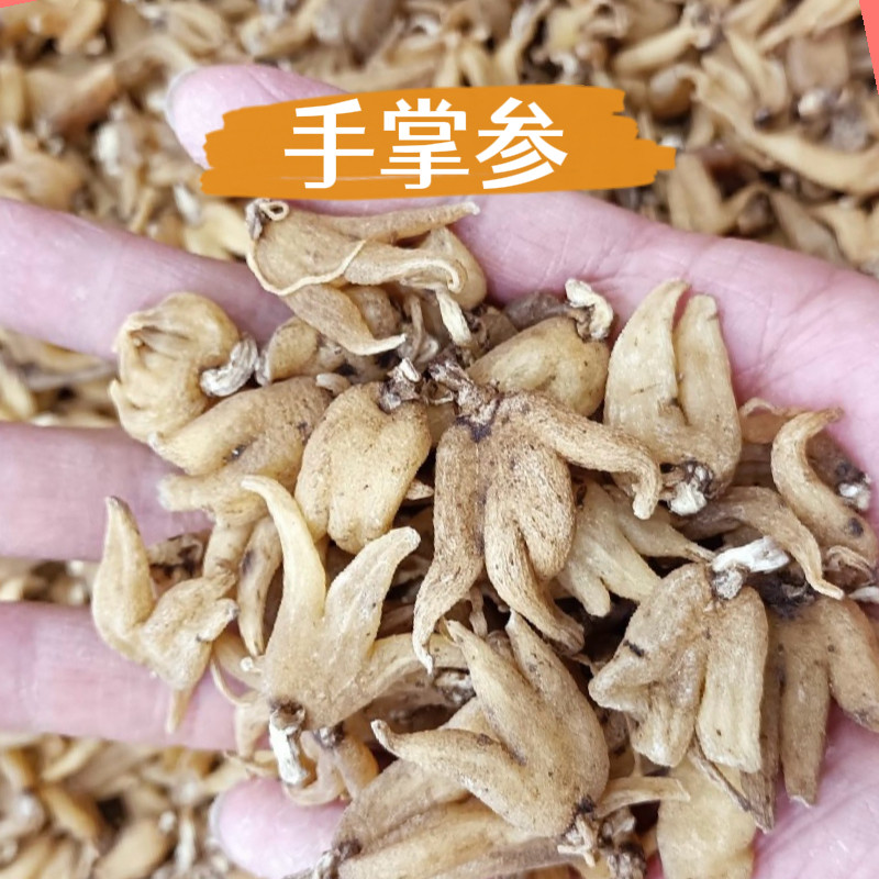 手掌参 西藏佛手参 手儿参 五指参 阴阳草 包邮