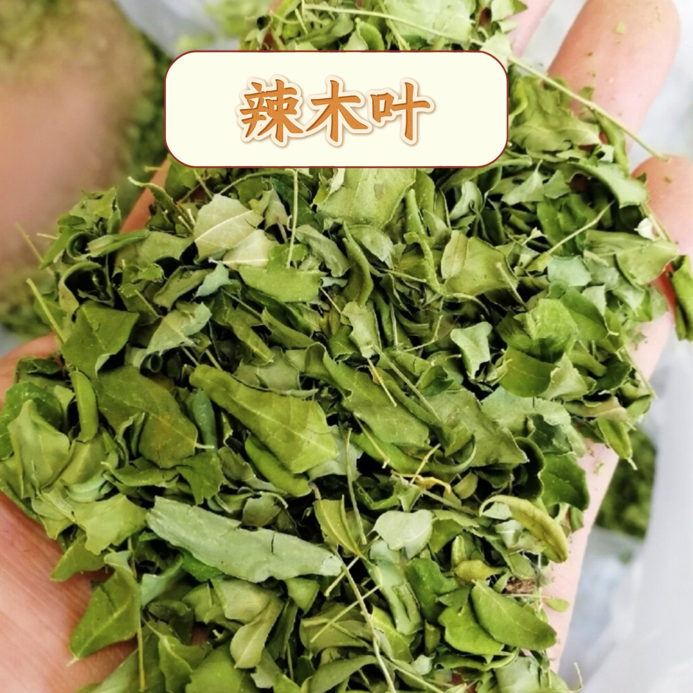 辣木叶500克 辣木子叶 辣木茶 新货辣木叶片泡茶泡水晒干包邮