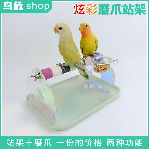 炫彩亚克力鹦鹉站架玄凤牡丹虎皮