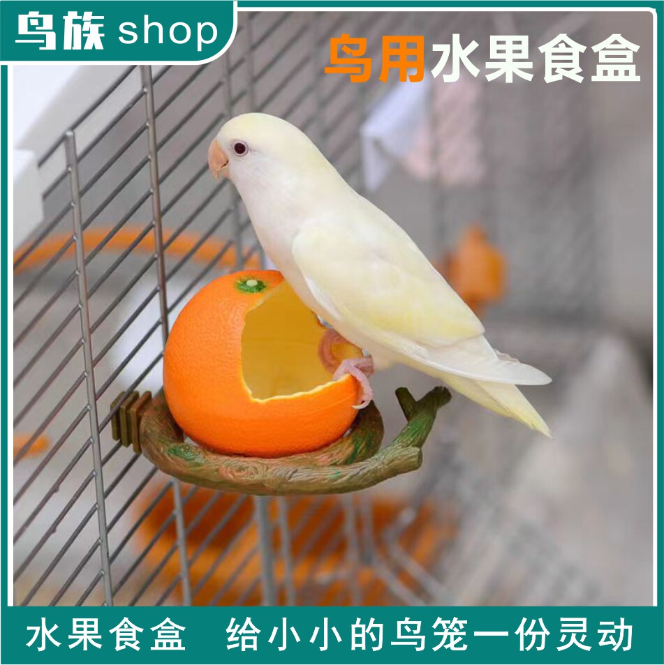 鸟用水果食盒 虎皮玄凤鹦鹉鸟食盒防撒防溅鹦鹉喂食器饮水器