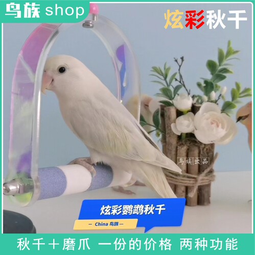 原创高配炫彩鹦鹉亚克力磨爪秋千