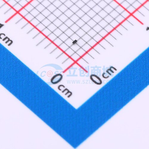 肖特基二极管 SDM05A30CP3-7 X3-WLB0603-2 DIODES(美台) 元器件