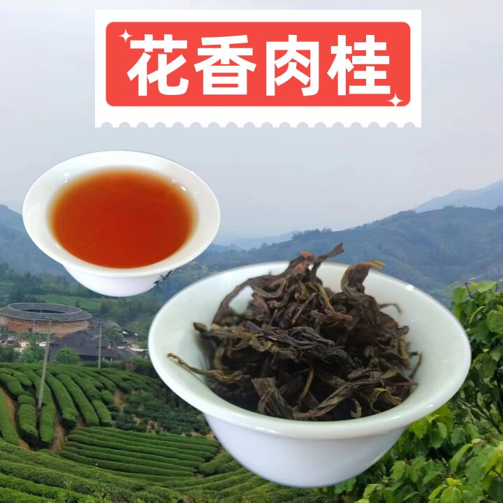 特级福建土楼花香肉桂乌龙茶岩茶
