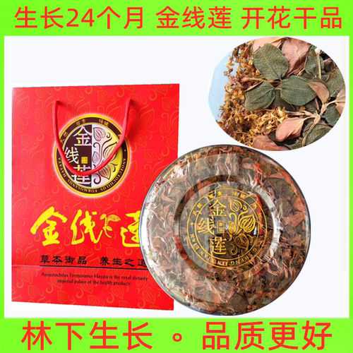 特级金线莲干品正宗林下生长