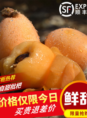 云南蒙自甜枇杷当季树上熟现摘新鲜长虹琵琶水果3斤5斤包邮