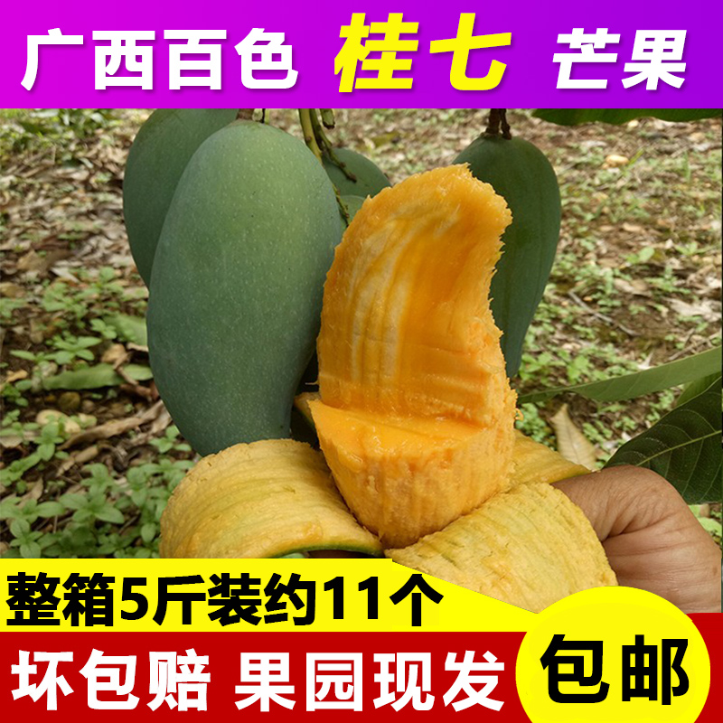新鮮包郵桂七芒果廣西百色田東整箱5斤大果當季水果批發桂7青芒果