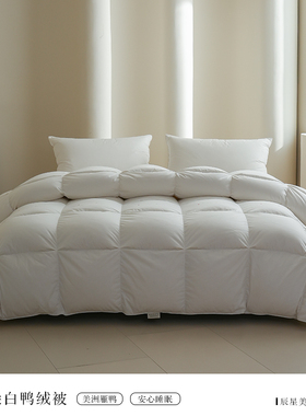 LANSIU/蓝丝羽美洲雁羽绒保暖高蓬松无异味大朵绒冬被春秋被