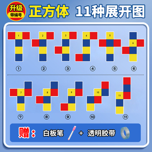 六年级长方体和正方体展开图形折叠纸小学立体几何模型数学教具五