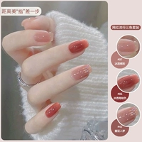 Shirye Color 97+86+43+Ярко -масляное масло