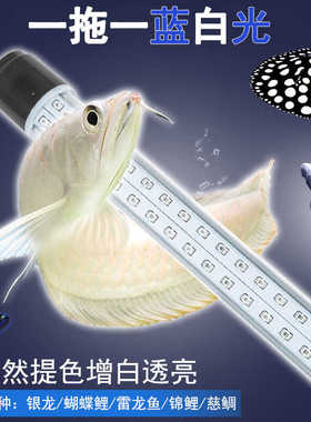 蓝白混合光银龙雷龙三湖慈鲷蝴蝶鲤专用观赏超白光鱼缸灯led防水