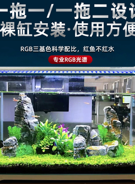 LED防水超亮鱼缸灯管T8裸缸专用一拖二增艳节能水族箱水草灯龙鱼