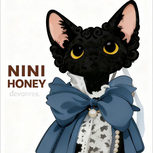 毛孩子的衣橱9.9-29.9（避免交叉感染，no退no换）全店两件包邮