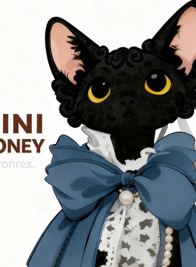 毛孩子的衣橱3.99-19.9（避免交叉感染，no退no换）全店两件包邮