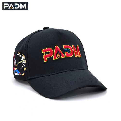 PADM 原创修炼熊猫刺绣 街头时尚个性户外休闲百搭遮阳棒球帽子