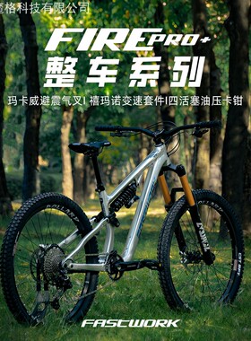 FASTWORK法斯特FIREpro软尾避震山地车11 12速铝合金油压四活塞