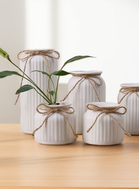 创意陶瓷花瓶摆件客厅插花装饰品轻奢干花欧式餐桌水培白色满天星