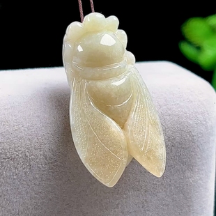 缅甸料翡翠A货冰飘黄一鸣惊人玉蝉玉坠天然玉石金蝉吊坠知了挂件