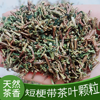 精选铁观音带叶茶梗装修新房新车去甲醛去味餐饮茶大排档茶叶梗