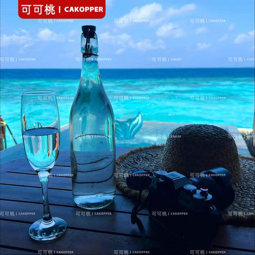 餐厅酒水用杯子亚克力笛形香槟杯高脚杯线条优美适配多种风味饮品