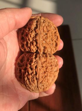 一物一图44mm南疆石狮子头逐鹿炮弹文玩把件麻核桃压手送礼精选