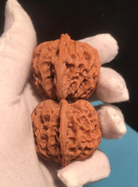 44mm野生苹果园狮子头文玩把件麻核桃精选金钱底42mm超大全品官帽