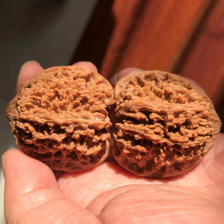 42mm百花山满天星狮子头文玩把件精选老树压扎手自然桩多刺麻核桃