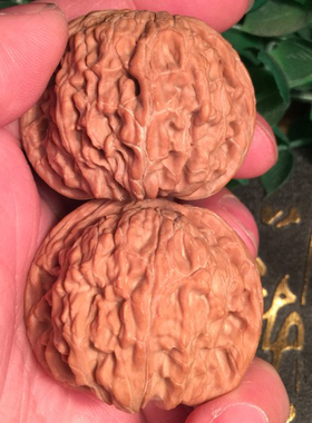 42mm闷尖磨盘狮子头老树果红皮压手打手精选文玩把玩核桃古树矮桩