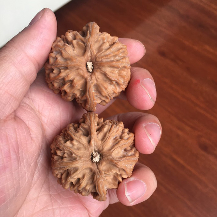 42mm苹果园狮子头老树果文玩把件精选型正金钱底官帽野生圆润送礼,饰品/流行首饰/时尚饰品新,手把件/把玩物,淘宝优惠券,粉丝福利购,淘宝优惠卷