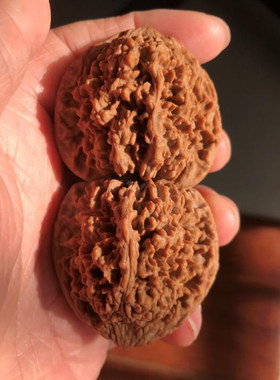 42mm百花山满天星狮子头麻核桃精选大扎手自然桩文玩把玩核桃把件