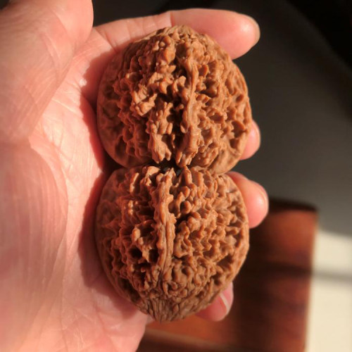 42mm百花山满天星狮子头麻核桃精选大扎手自然桩文玩把玩核桃把件