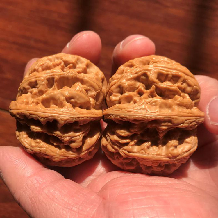 50mm精选野生大粗筋小众文玩把件狮子头全品收藏麻核桃粗筋平谷大,饰品/流行首饰/时尚饰品新,手把件/把玩物,淘宝优惠券,粉丝福利购,淘宝优惠卷