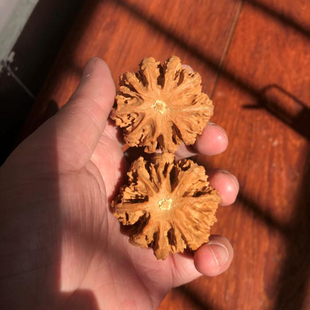 47mm野生扎手粗筋八棱山核桃三棱文玩把件健身多刺精选老树平底