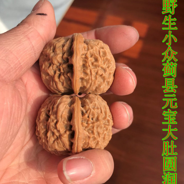 野生蓟县元宝狮子头精选老树文玩把件麻核桃大肚圆润平底收藏佳品