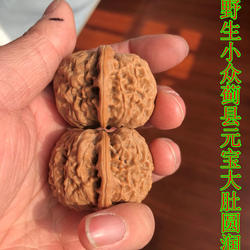 野生蓟县元宝狮子头精选老树文玩把件麻核桃大肚圆润平底收藏佳品